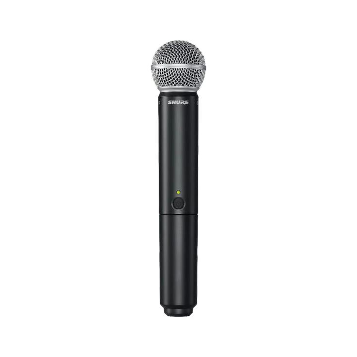 BLX2/SM58-M15